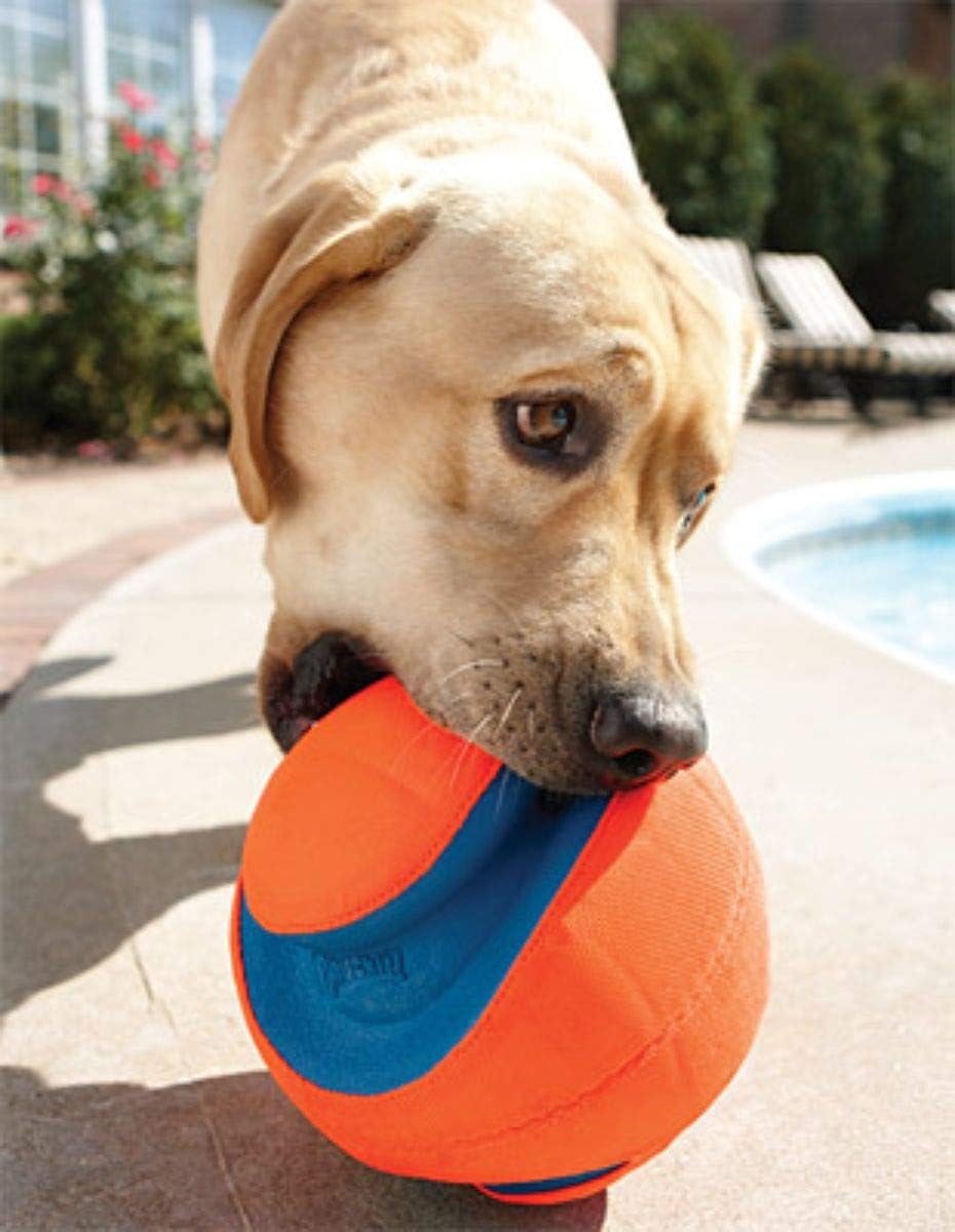 Chuckit Kick Fetch Ball Dog Toy, Large (8 Inch)