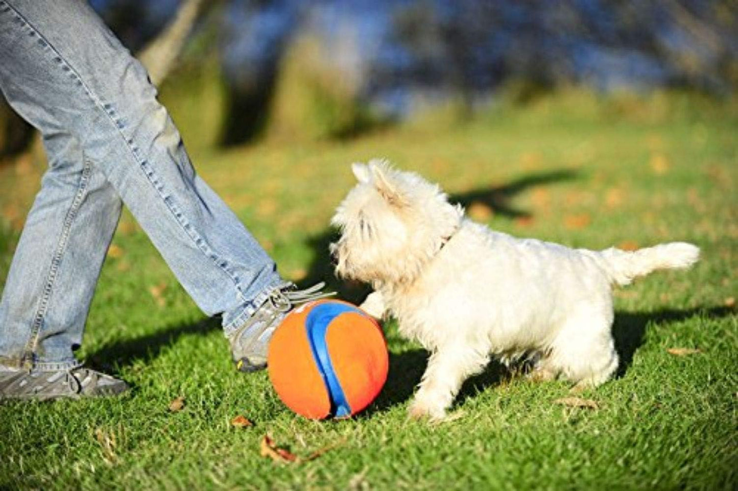 Chuckit Kick Fetch Ball Dog Toy, Large (8 Inch)