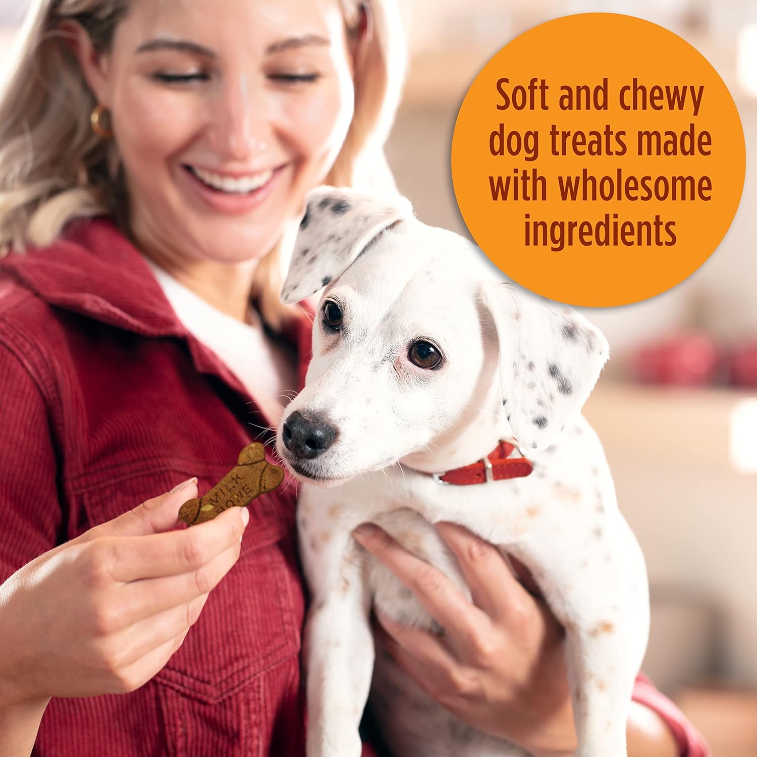 Simply Soft & Chewy Dog Treats, Wholesome Chicken Recipe, 25 Ounce Made with Real Chicken, Rolled Oats, Sweet Potato & Apples