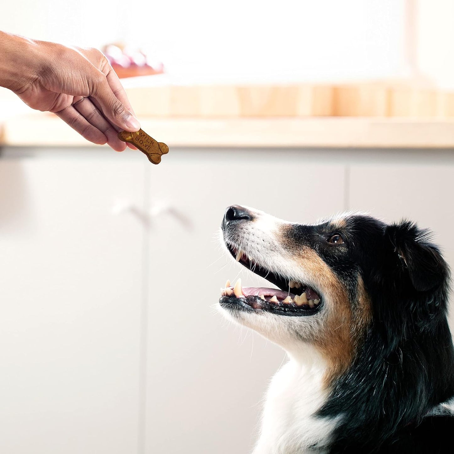 Simply Soft & Chewy Dog Treats, Wholesome Chicken Recipe, 25 Ounce Made with Real Chicken, Rolled Oats, Sweet Potato & Apples