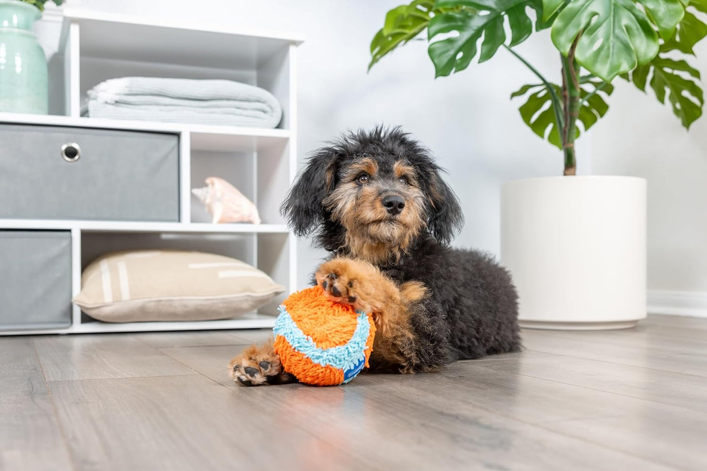 Chuckit Indoor Fetch Ball Dog Toy (4.75 Inch), Orange and Blue