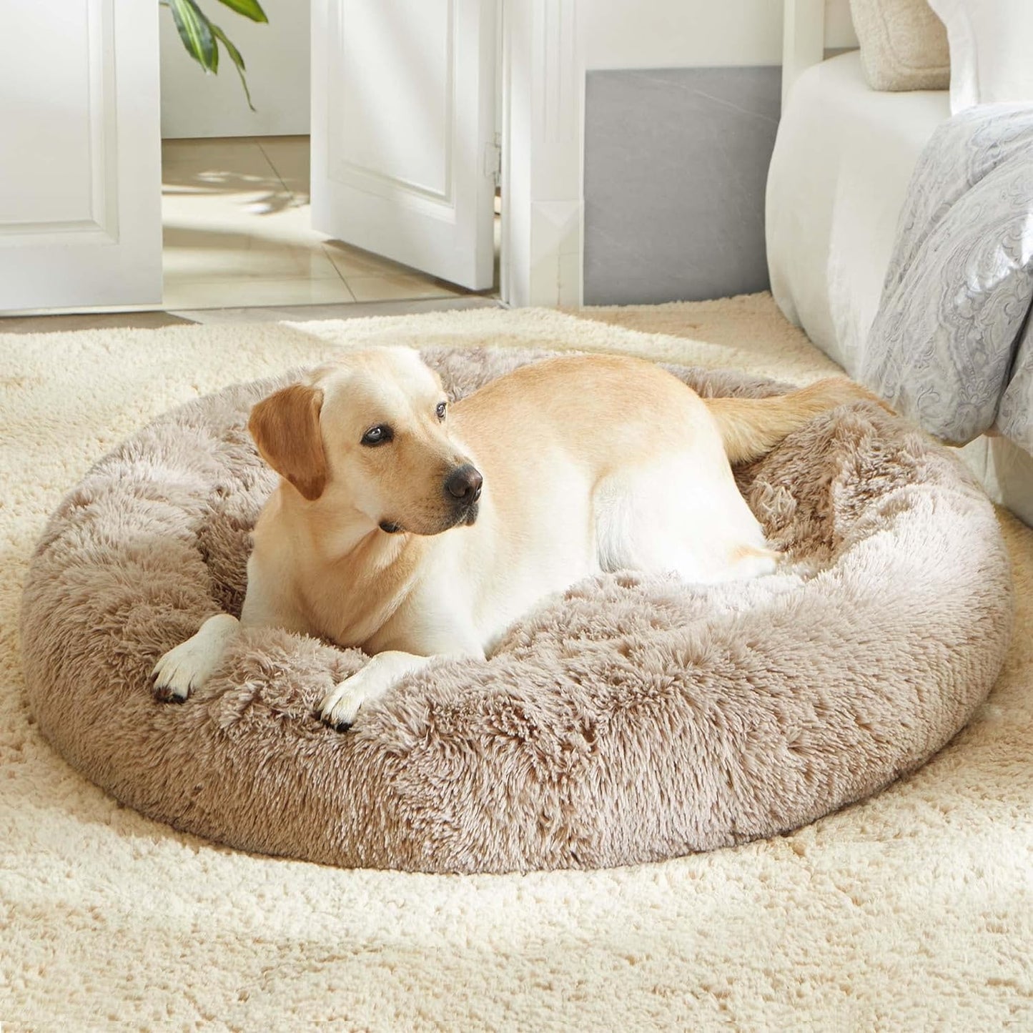 WESTERN HOME WH Calming Dog Bed & Cat Bed, Anti-Anxiety Donut Dog Cuddler Bed, Warming Cozy Soft Dog round Bed, Fluffy Faux Fur Plush Dog Cat Cushion Bed for Small Medium Dogs and Cats