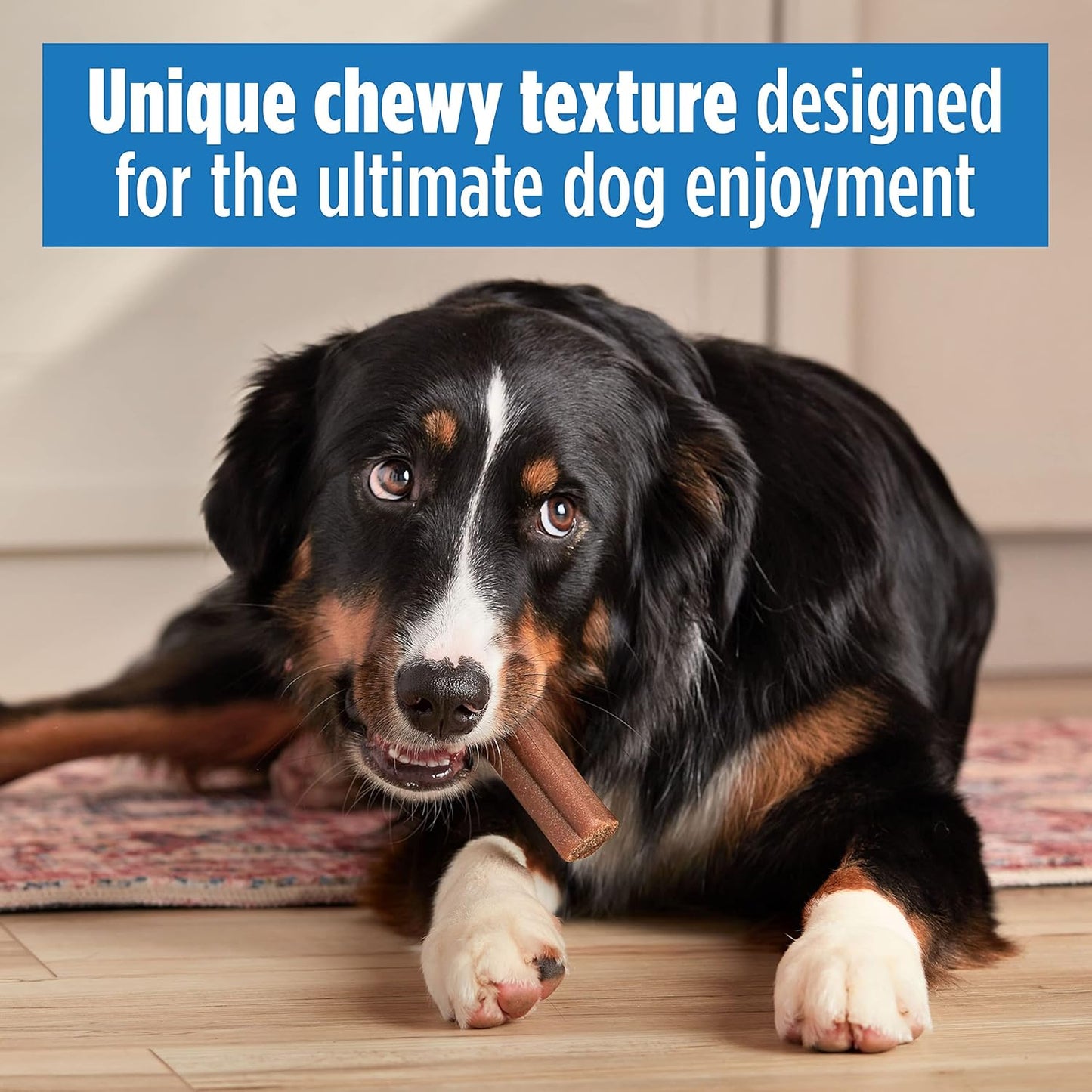 Comfort Chews, Rawhide Free Dog Treats with Unique Chewy Texture and Real Beef, 16 Chews, Easy on Digestive System