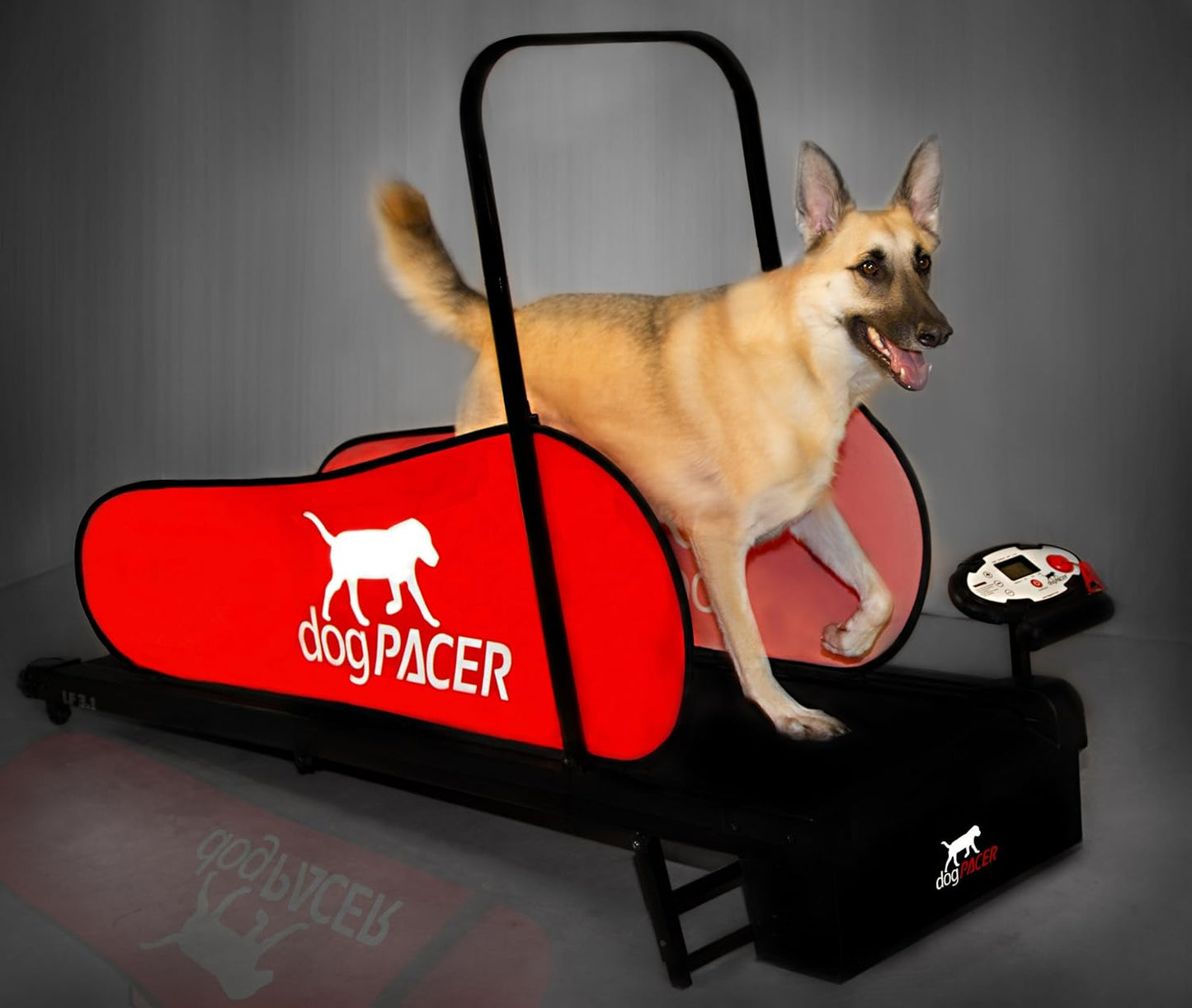 91641 LF 3.1 Full Size Dog Pacer Treadmill, Black and Red